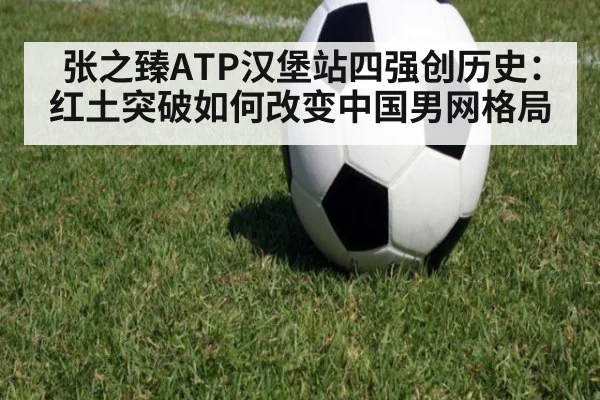 张之臻ATP汉堡站四强创历史：红土突破如何改变中国男网格局